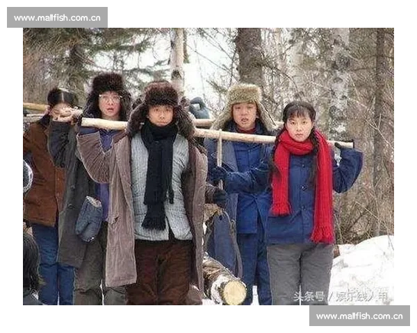 《北风那个吹》：风雪中的坚持与归属，心灵与情感的温暖碰撞